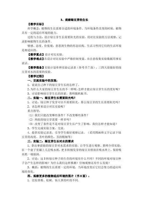 观察绿豆芽的生长