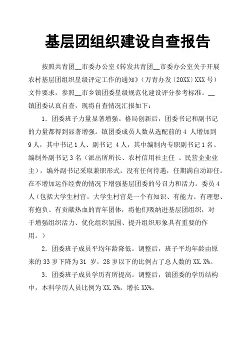 基层团组织建设自查报告