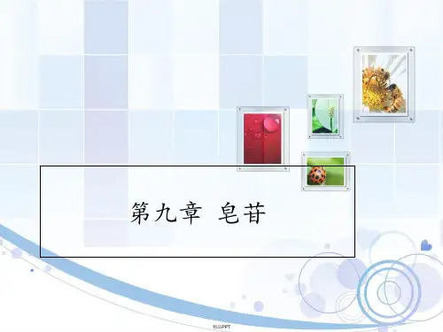 天然药物化学 第九章