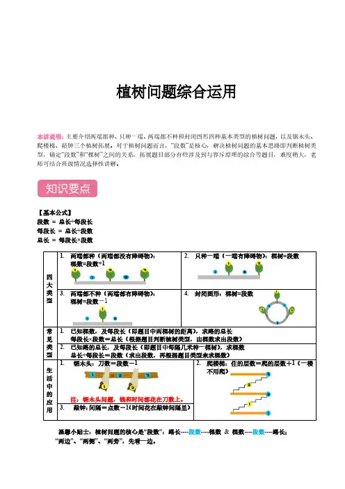植树问题学生版