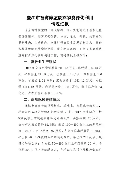 廉江市畜牧业调研报告