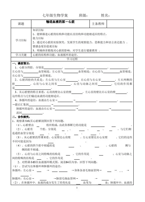 输送血液的泵--心脏ok