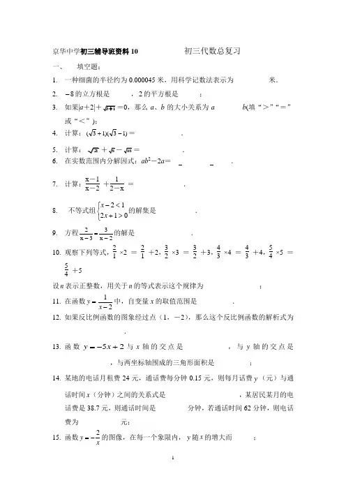 初三数学中考复习专题10 代数总复习