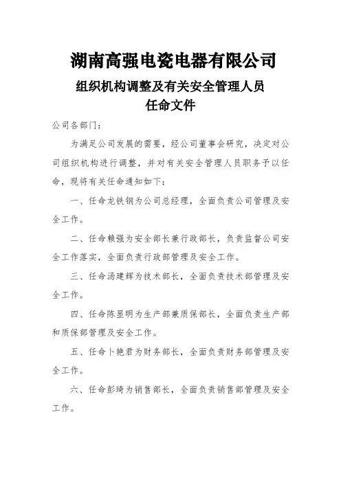公司安全管理管理任命文件