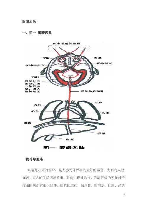 眼睛炁脉