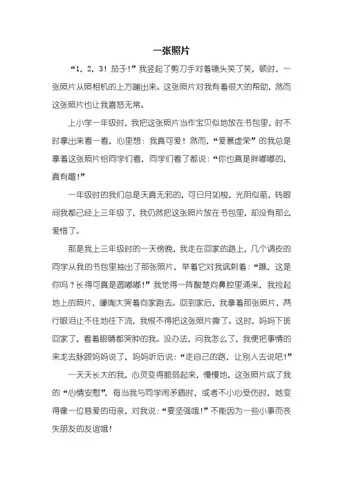五年级作文：一张照片作文500字