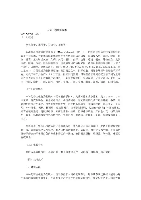 五倍子的种植技术(1)