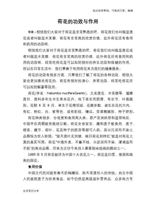 荷花的功效与作用