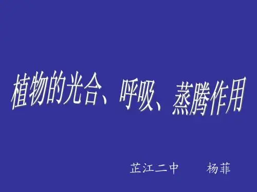 植物的三大作用的综合复习课件