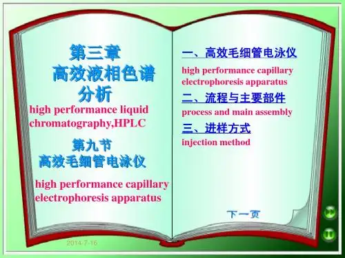 高效液相色谱分析 高效毛细管电泳仪