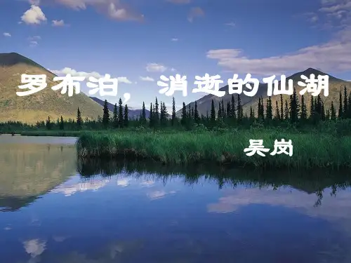 罗布泊