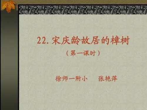 宋庆龄故居的樟树(第一课时)