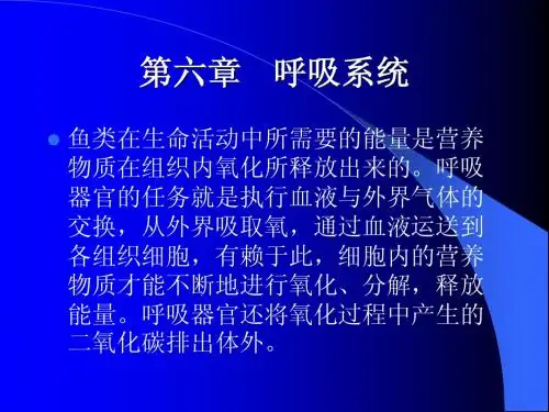 第六章 呼吸系统