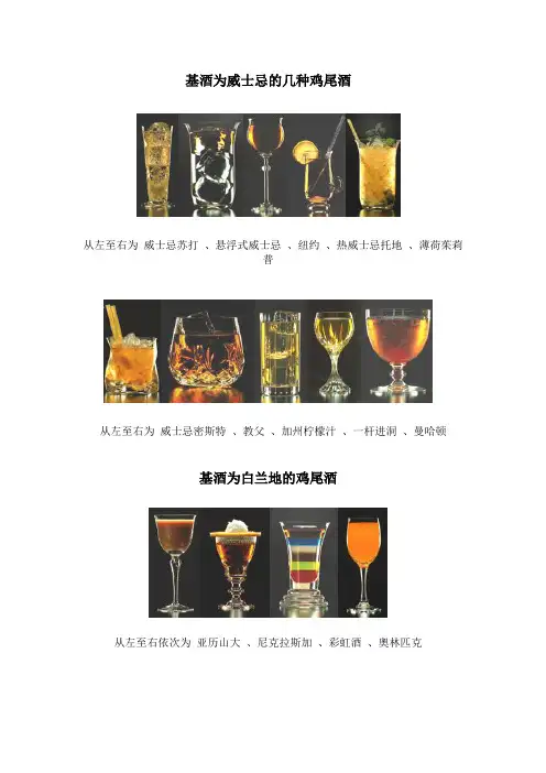 世界最著名的鸡尾酒大全