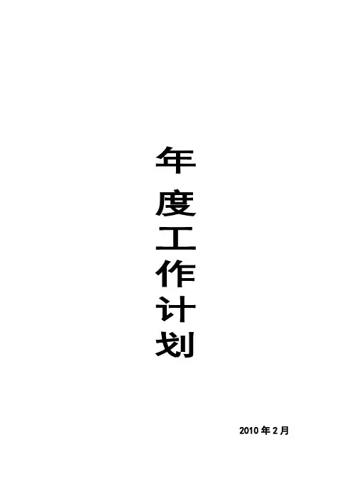 中心幼儿园年度工作计划