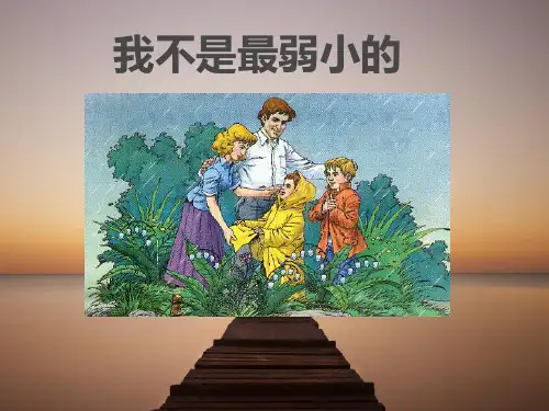 湘教版二年级下册语文《17我不是最弱小的》课件