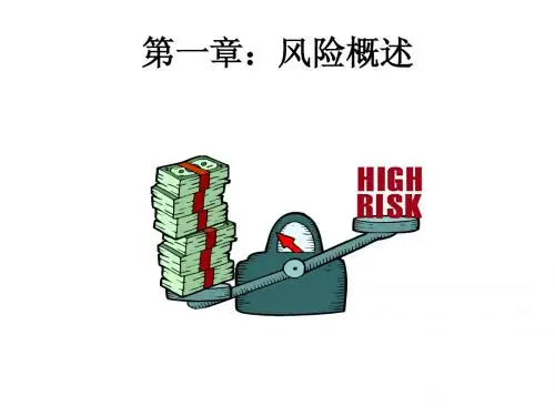 第一章：风险概述