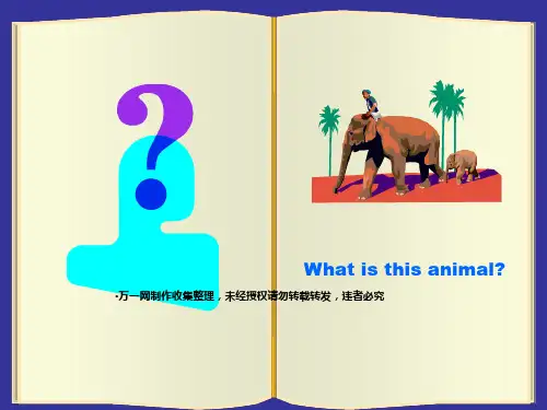 逼真翻书效果动画PPT模板