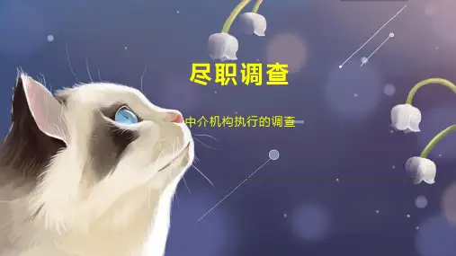 尽职调查    