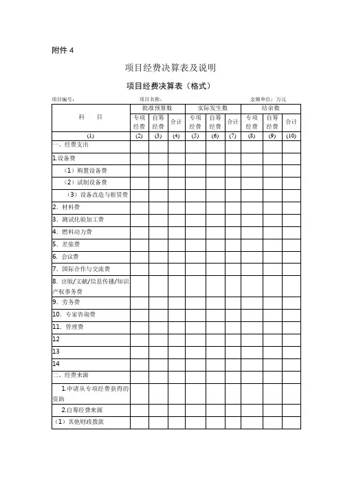 项目经费决算表及说明