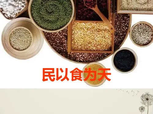 《民以食为天》_PPT优秀课件