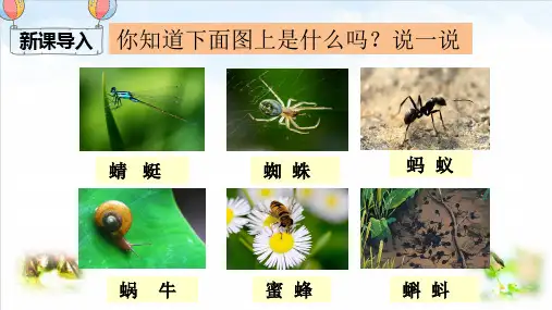 部编版ppt-《动物儿歌》课件1