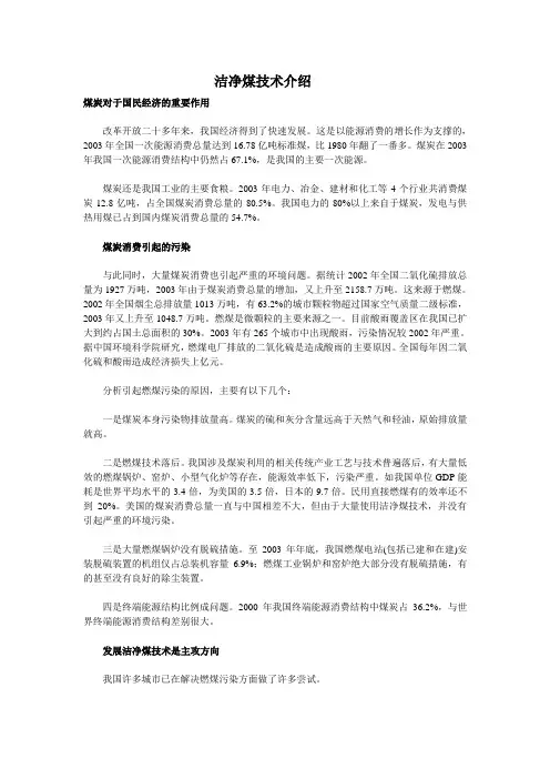 洁净煤技术