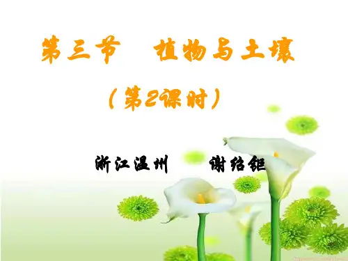 植物与土壤--浙教版(新编201912)
