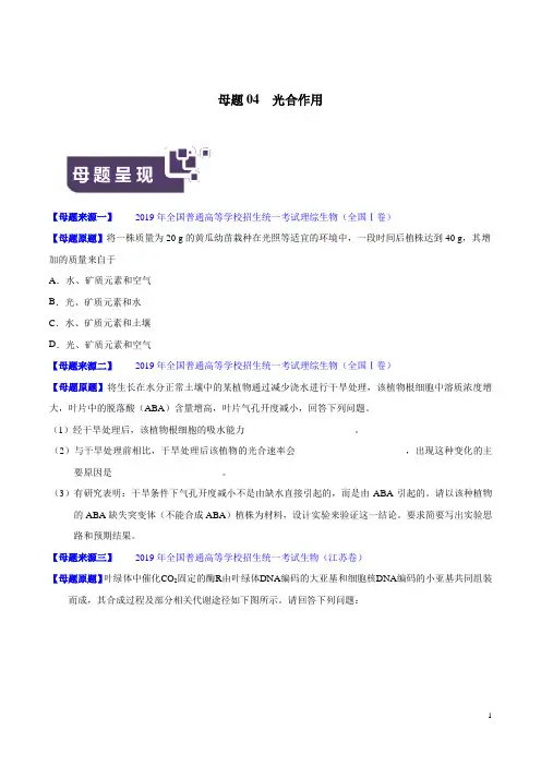 《高考真题》专题04 光合作用-2019年高考生物母题题源系列(原卷版)