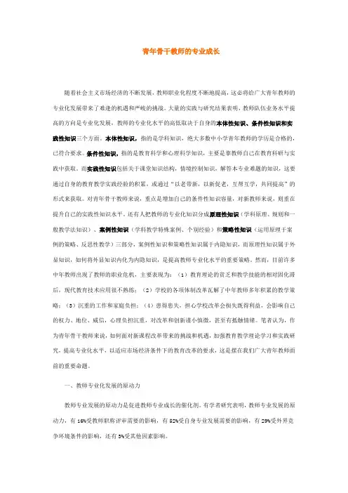 青年骨干教师的专业成长