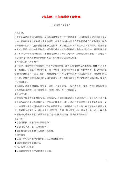 五年级科学下册 植物的“分身术”3教案 青岛版