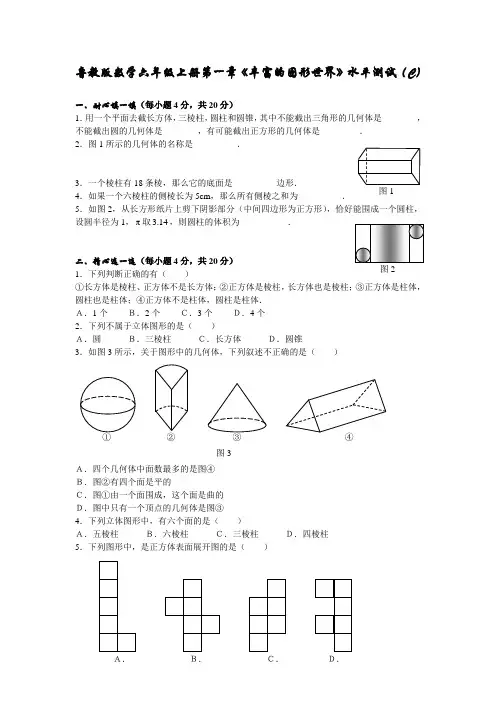 鲁教版数学六年级上册第一章《丰富的图形世界》水平测试(C)