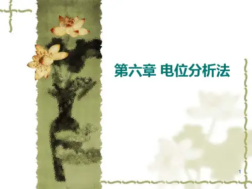 第六章 电位分析法PPT课件