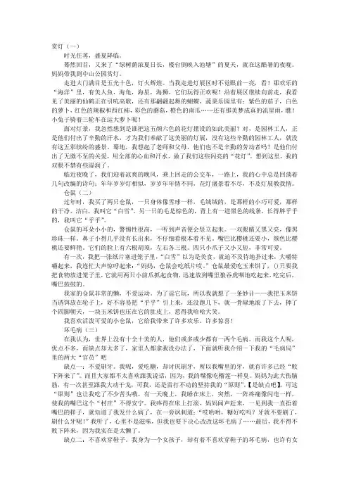 小学五年级作文500字