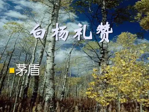 5.白杨礼赞
