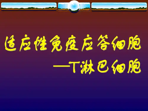第十章_T淋巴细胞