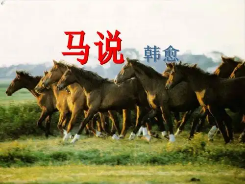 23 马说