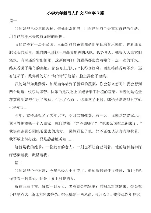 小学六年级写人作文500字3篇