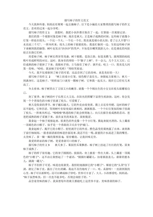 描写柿子的作文范文