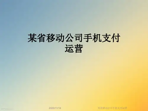 某省移动公司手机支付运营