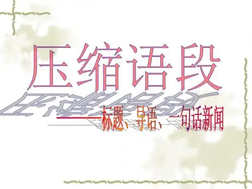 压缩语段(第一课时)
