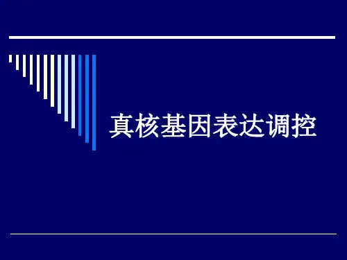 真核基因表达调控