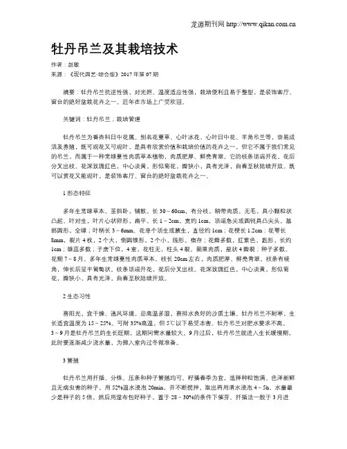 牡丹吊兰及其栽培技术