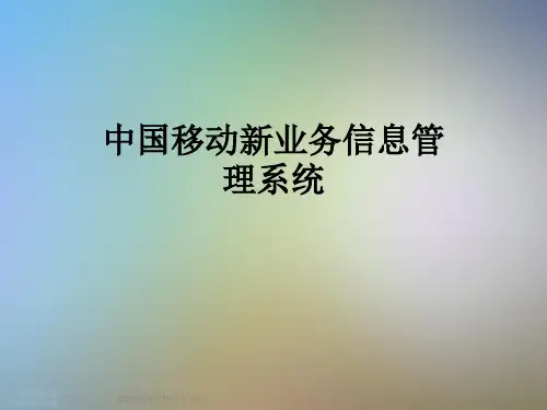 中国移动新业务信息管理系统