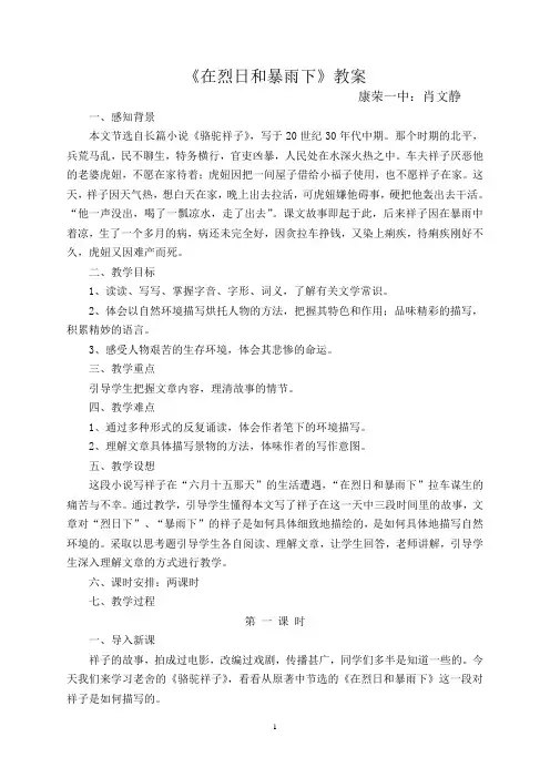 《在烈日和暴雨下》教案