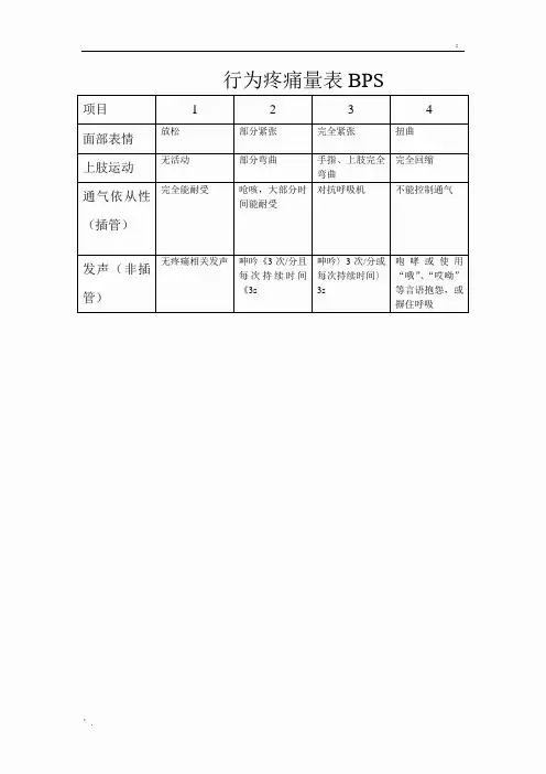 行为疼痛量表BPS