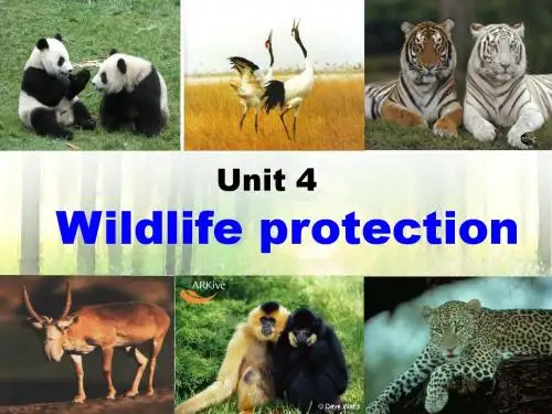 book2 unit4 warming up1
