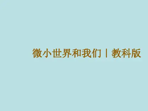 【教科版】微小世界和我们完美课件1