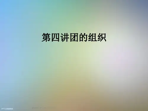 第四讲团的组织