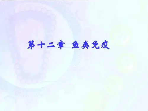 鱼类免疫PPT课件